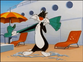 Gifs animés Titi et Gros Minet